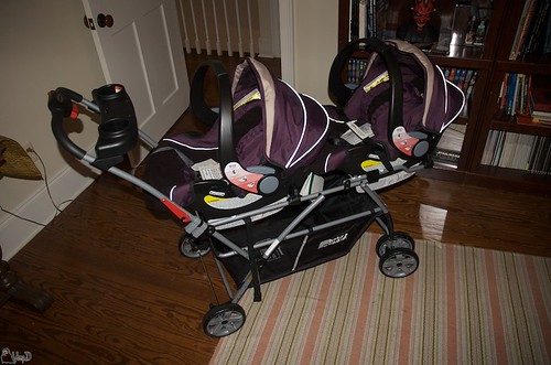 Center-console cat car-seat carrier