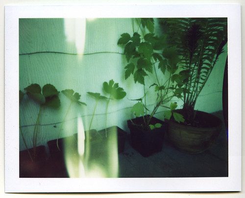 Ceramic-look self-watering planter insert set