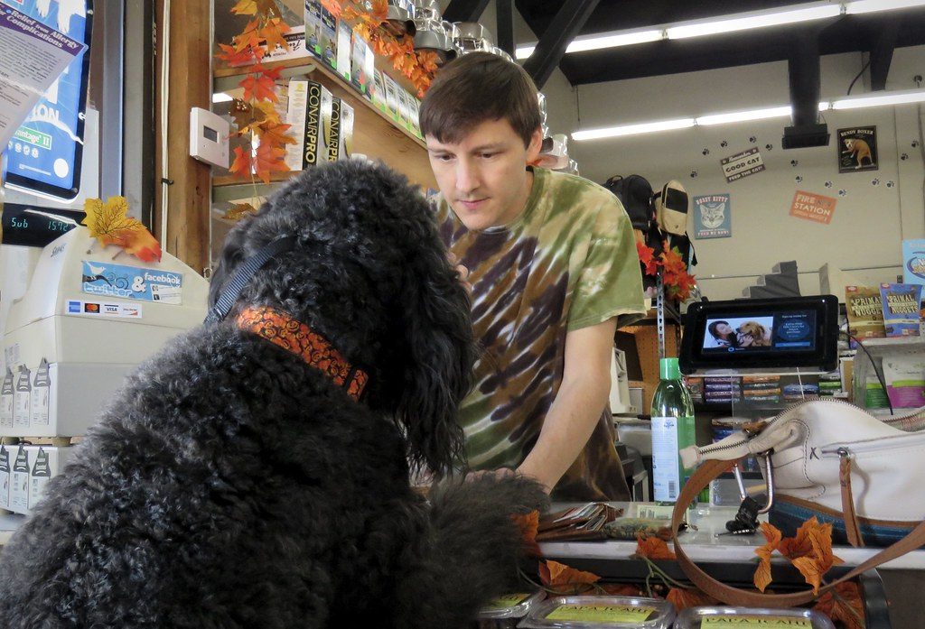 Dual-chamber pet travel bottle for water and kibble