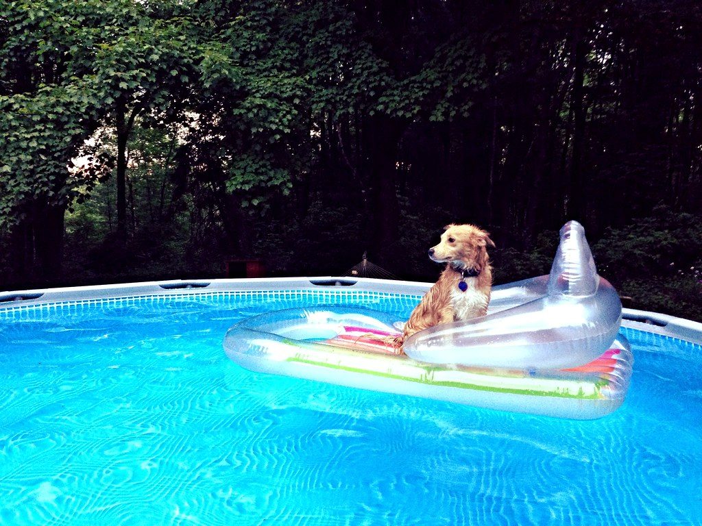 Dual-joystick motorized inflatable pool lounger