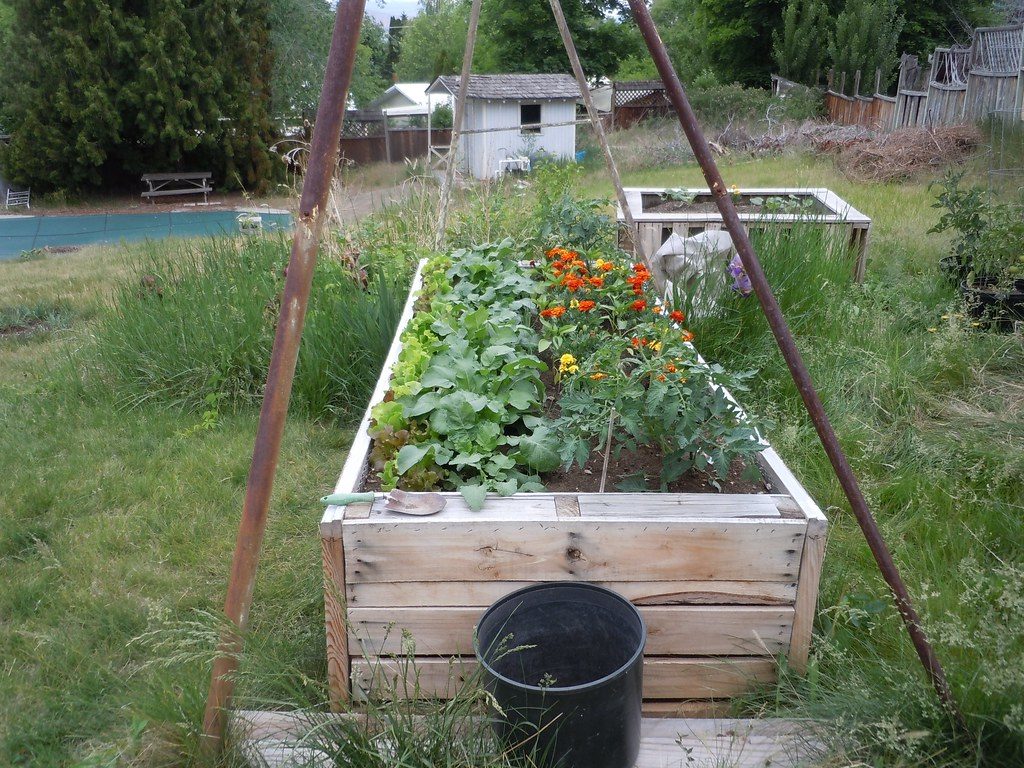 Galvanized metal raised garden bed