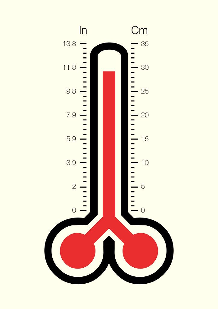 Instant-read digital meat thermometer