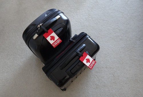 Luggage tags (multi-pack)