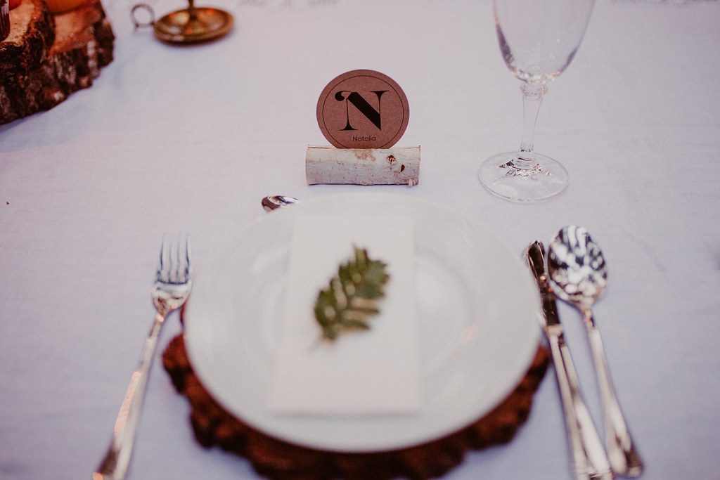 Party plate + napkin set (serves 24)
