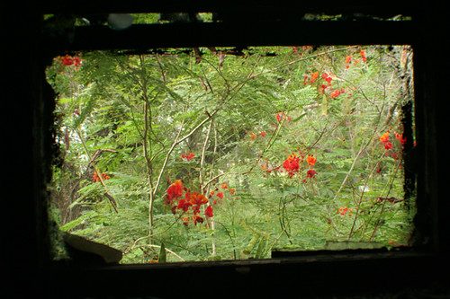 Pressed-flower style photo frame with stand