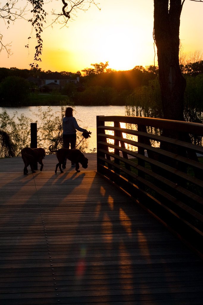 Reflective dog-walking leash light clip