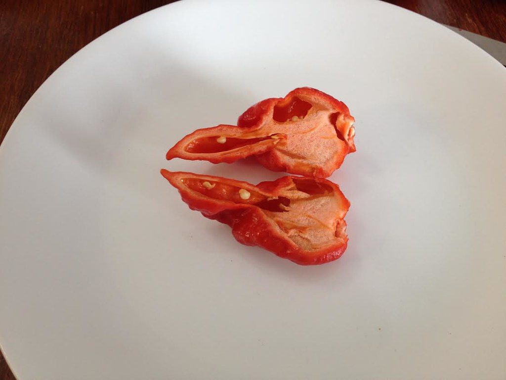 Reusable bowl cozy holder for hot dishes