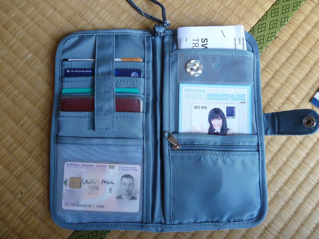Reusable luggage shoe-bag with dirt-divider panel