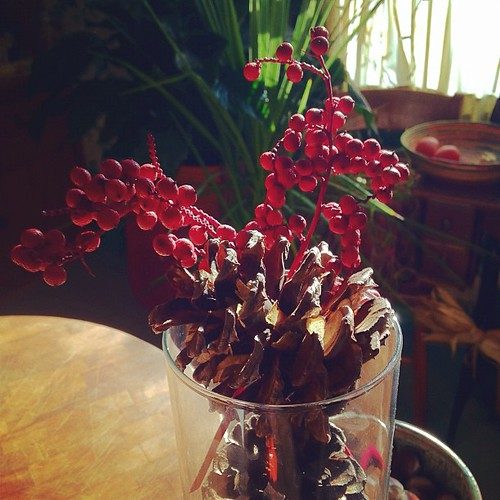 Reusable toran doorway garland