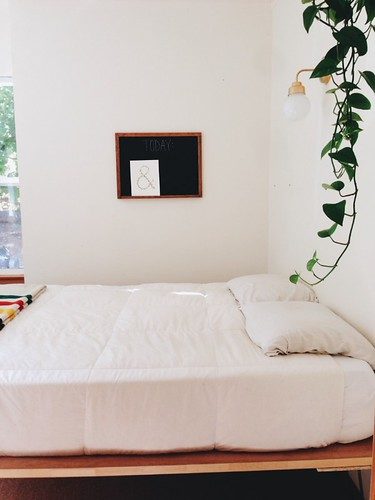 Sofa-arm remote and snack organizer