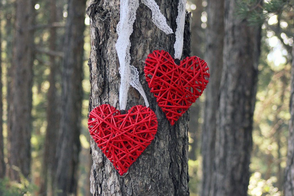 Valentine's heart string lights & garland